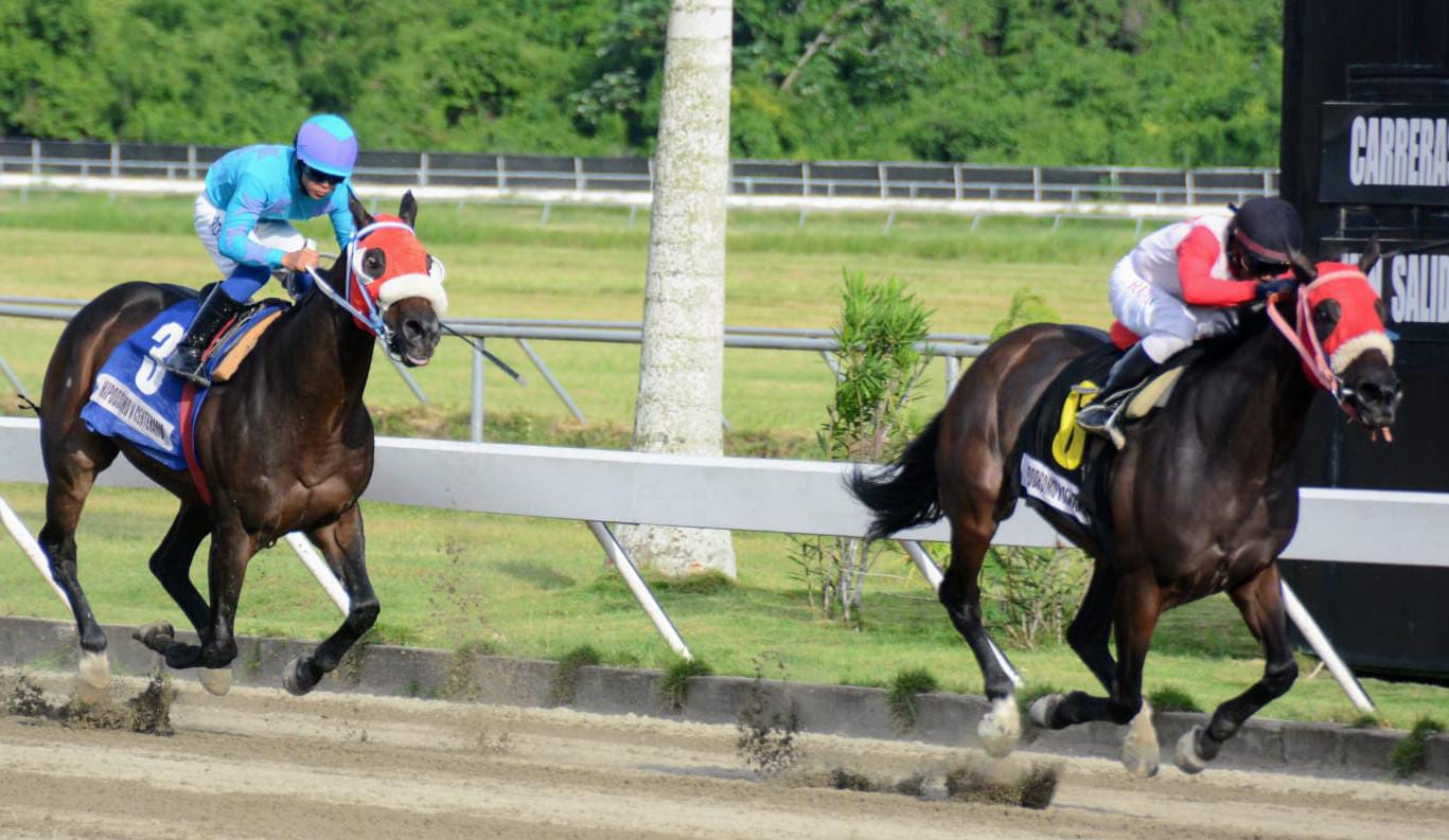 El pool tuvo dividendo popular en el Quinto Hipódromo V Centenario