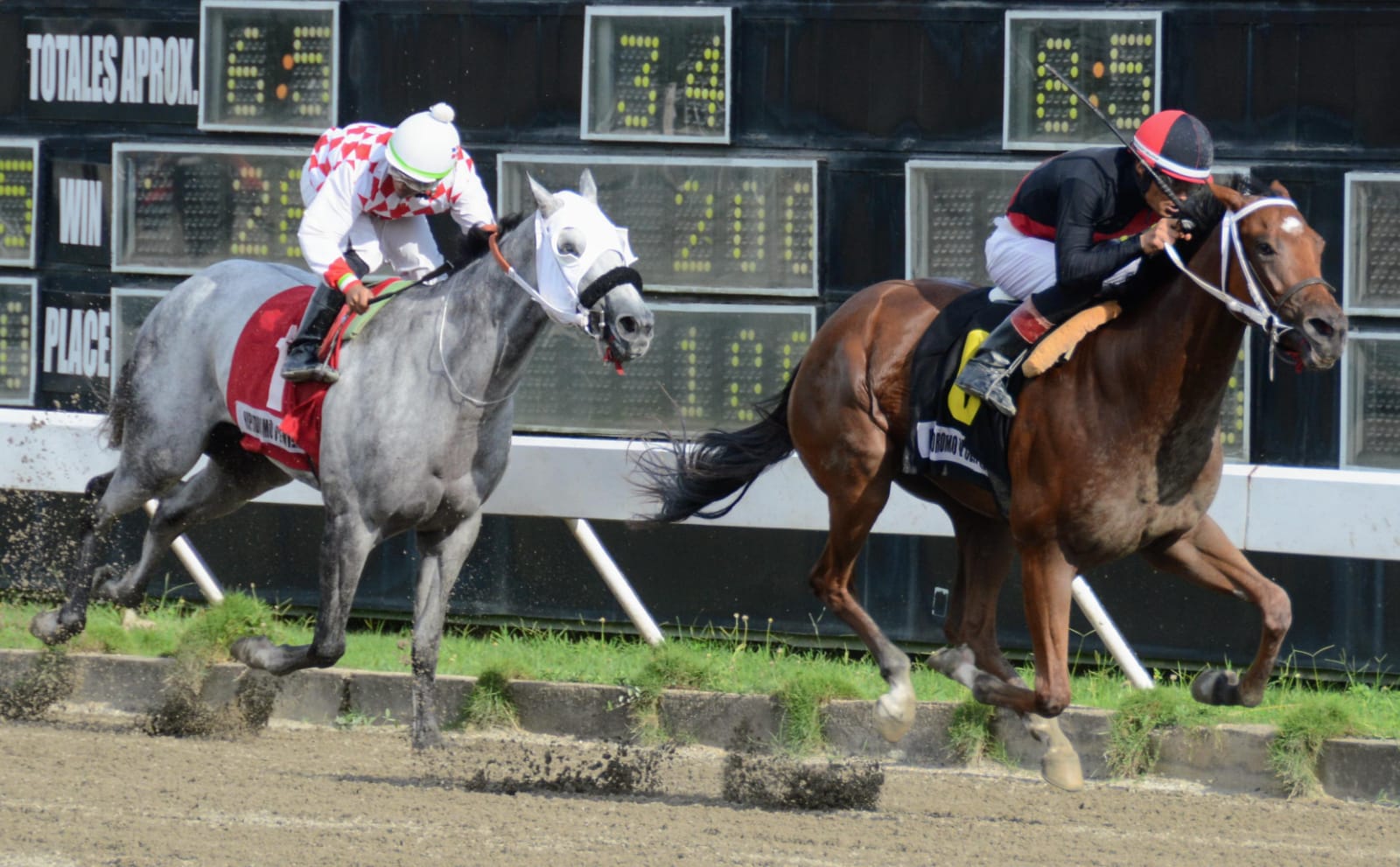 Pupilos entrenador German León ganan 4 carreras en el Quinto