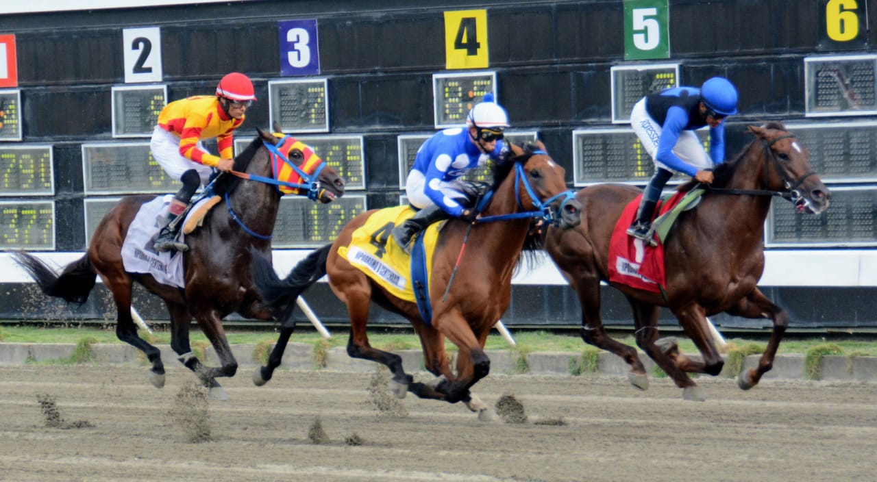 De León y Jiménez ganan y siguen liderando en el Quinto