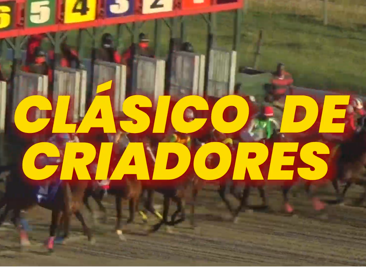 Clásico de Criadores Sábado 25 de Noviembre 2023 Hipódromo V Centenario