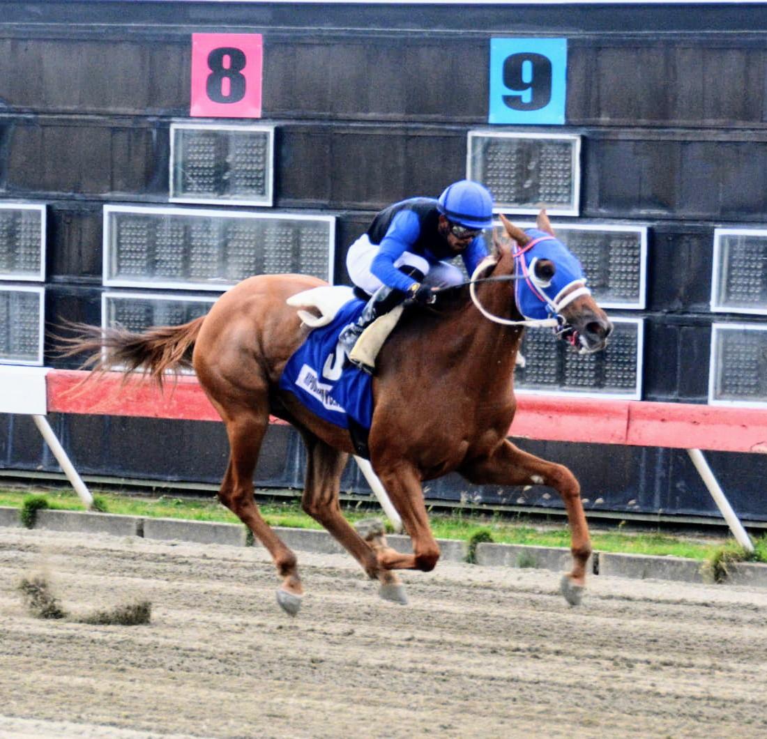 Taquillero y Twice My Age son favoritos este sábado en Clásico de