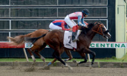 GIVE THE GLORY, VALIDO PARA POOL Y BANCA EL EXTERMINADOR D . (USA) "DESCARTADO" 