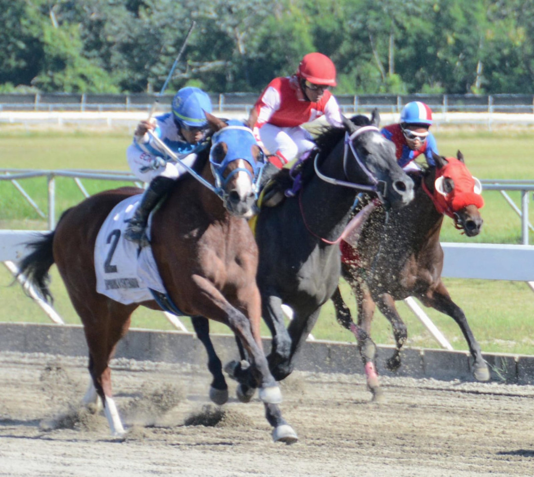 El pool paga 8,848 pesos en el Quinto Centenario Hipódromo V Centenario