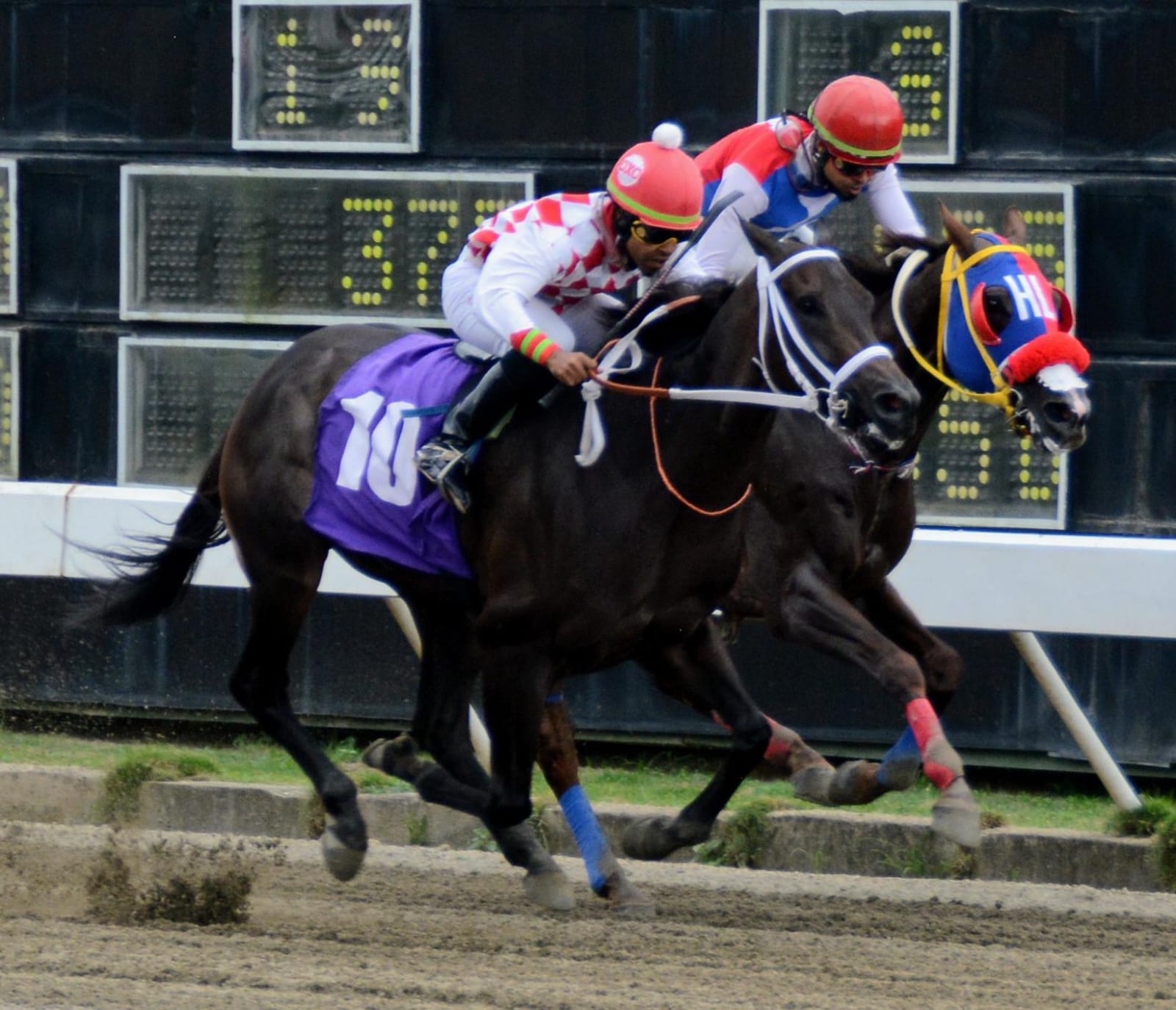 Aumentan premios y reclamos en Hipódromo Quinto Centenario Hipódromo