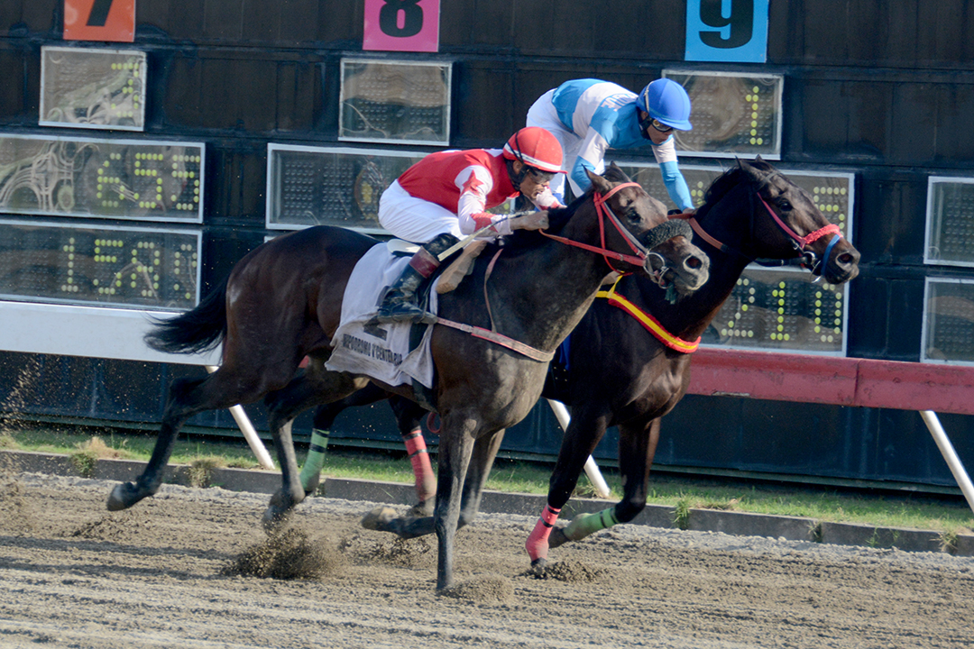 Resultados Martes 12 de Diciembre 2023 Hipódromo V Centenario