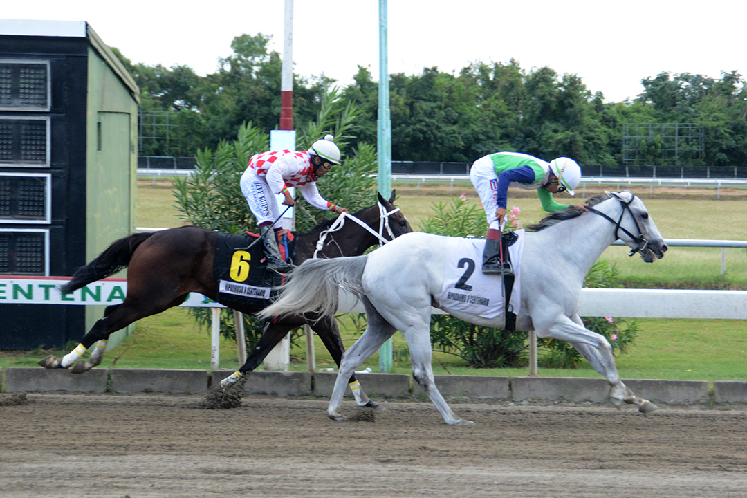 Resultados Sábado 09 de Diciembre 2023 Hipódromo V Centenario