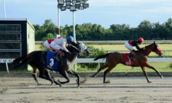 PRIMERA DAMA (1)