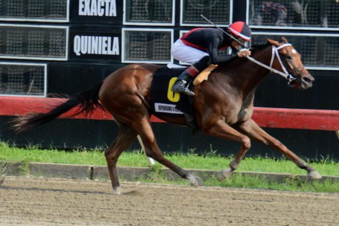 Disputarán Clásico Asociación de Dueños de Caballos en el Quinto