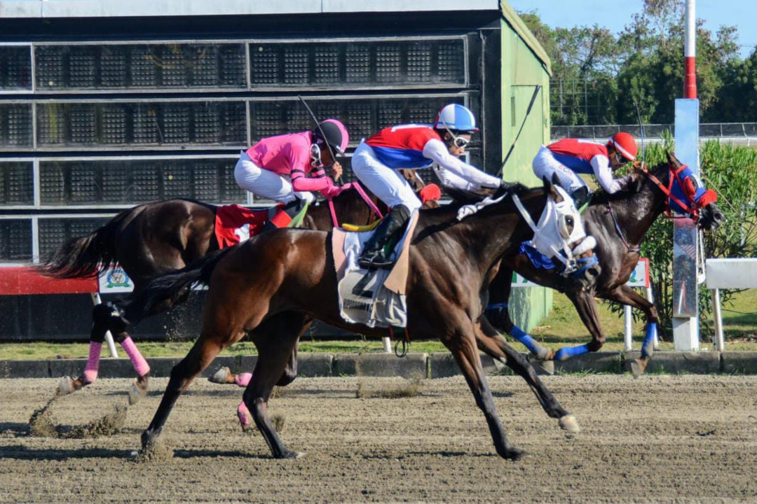 De León y Hernández dominan jornada del sábado en el Quinto