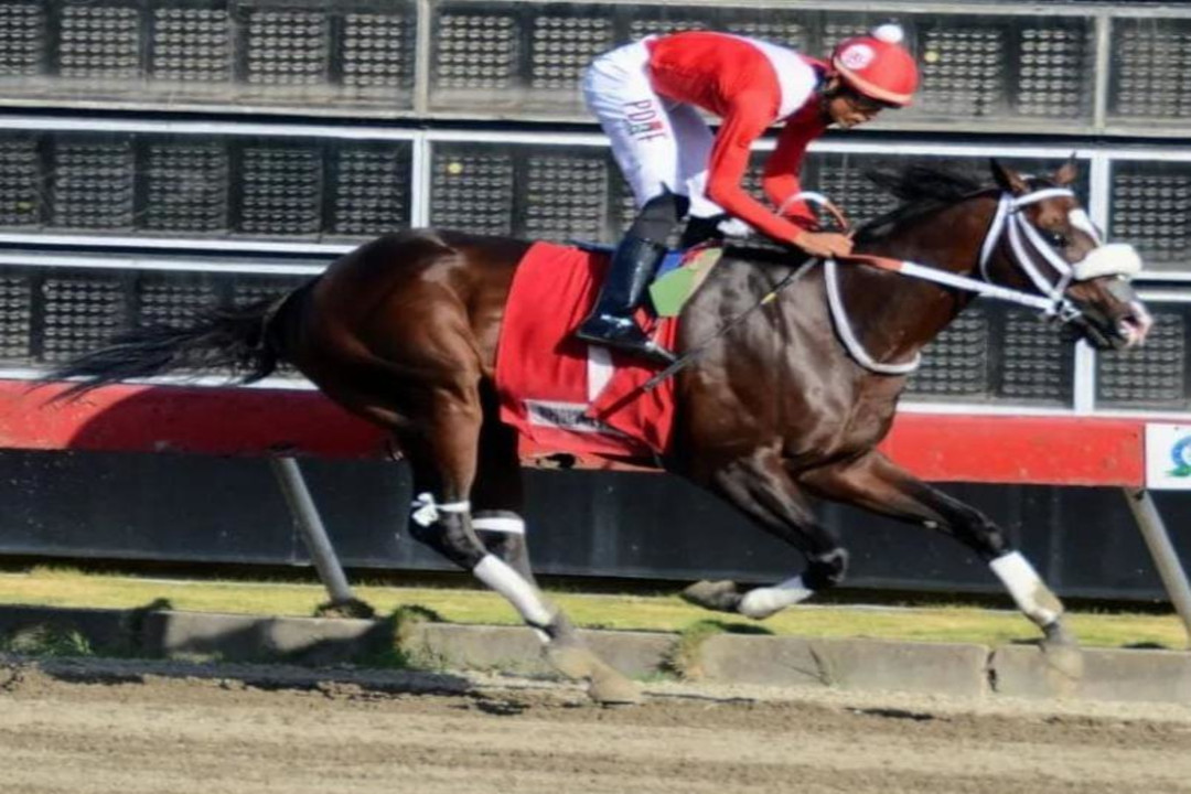 Puckett es el favorito del Clásico Aniversario 29 en el Quinto