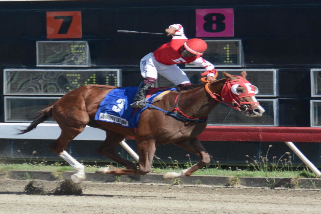 Señalan favoritos para ganar este sábado en el Quinto Centenario