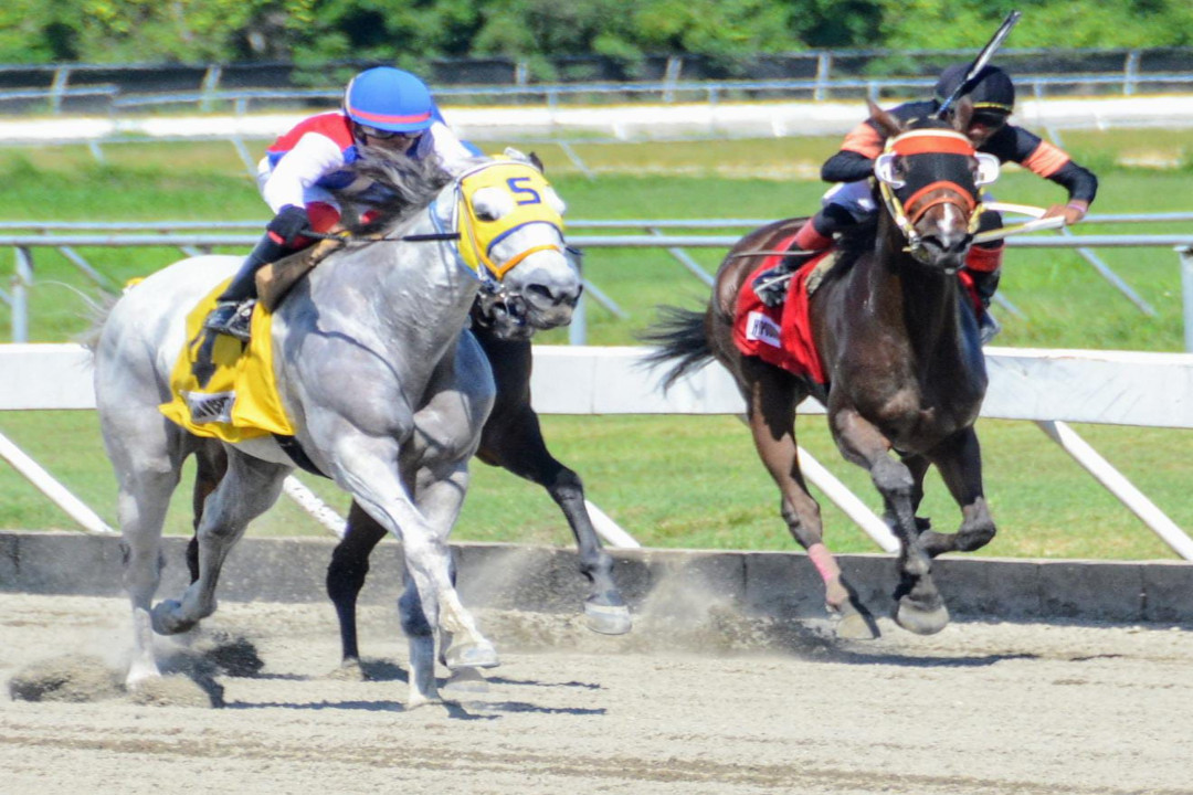 Establo Hermanos Lara y José F. Rojas dominan en el quinto