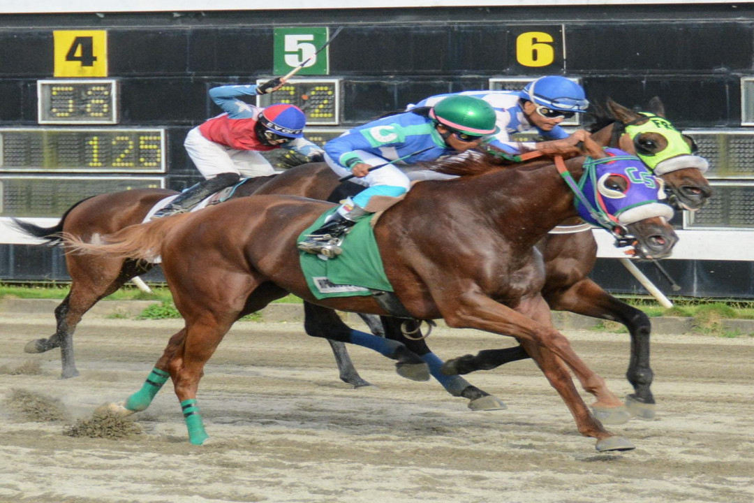 El pool paga RD44,646.00 en el Quinto Centenario Hipódromo V Centenario