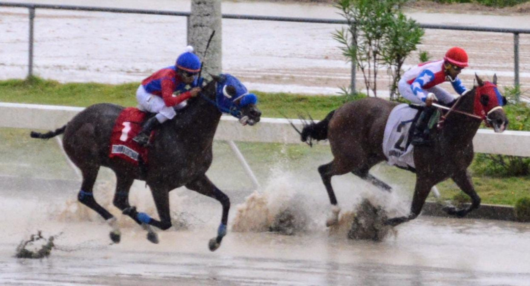 Héctor Hernández gana dos carreras en el Quinto Hipódromo V