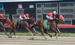 MAJESTIC CORREDOR (5)