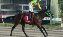 DILSON (1)
