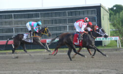 PURO TALENTO (1)