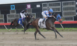 CABUYA B (2)