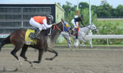 JOSE HORACIO (4)
