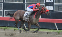 HICKSTEAD (2)