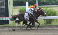 CASCA RRABIAS Y BONVIVANT (7-2)