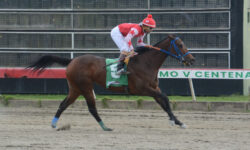 ATABEYLEA (5)