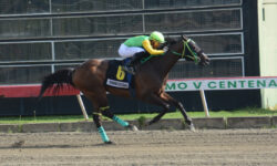 ROARING THUNDER (6)