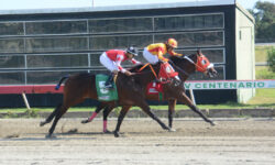 SPEEDY A. P (1)