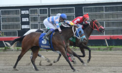CABUYA B (3)