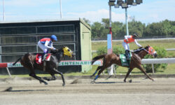 MAITE A. (5)