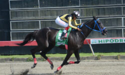 BROOKSIDE (5)