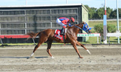 GRAND ROGUE (1)