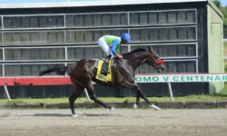 ASSET TALENT (4)