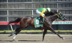 ROARING THUNDER (5)