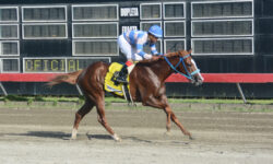 NOBLE B (4)