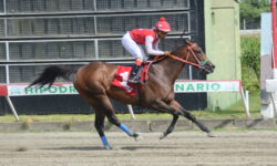 ATABEYLEA (1)