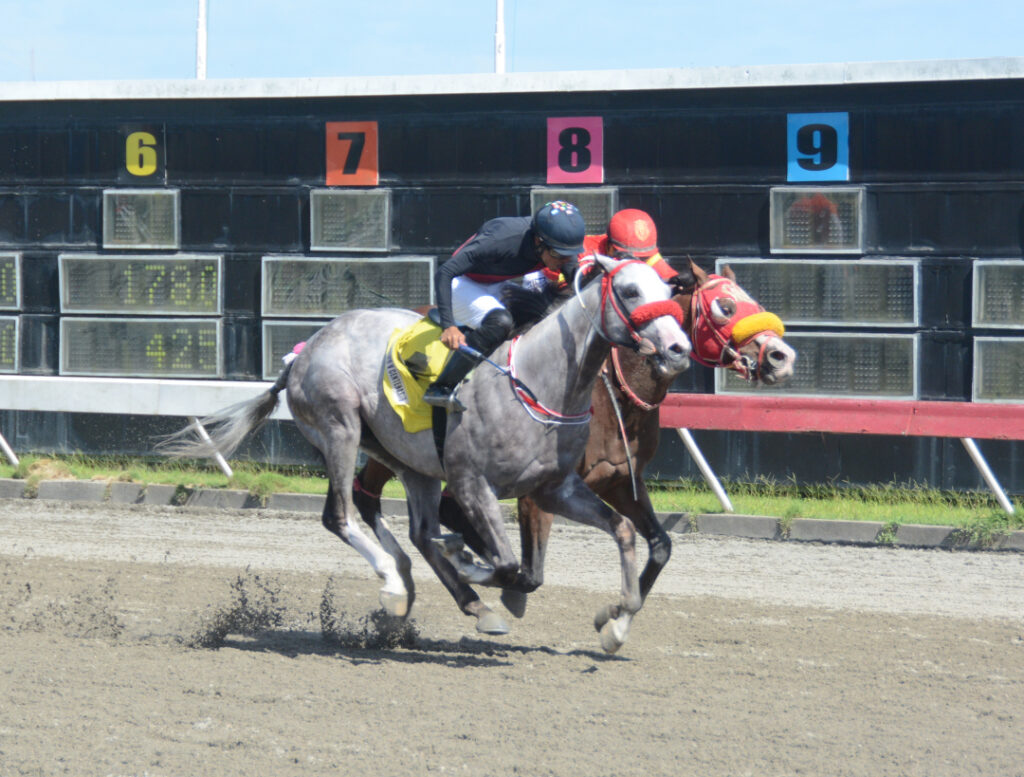 TRACK LORD (4)