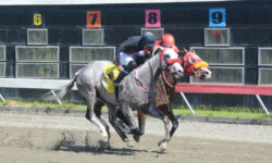 TRACK LORD (4)