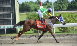 DOÑA JACKELINE (7)