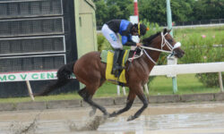 MR. JIMENEZ (4)