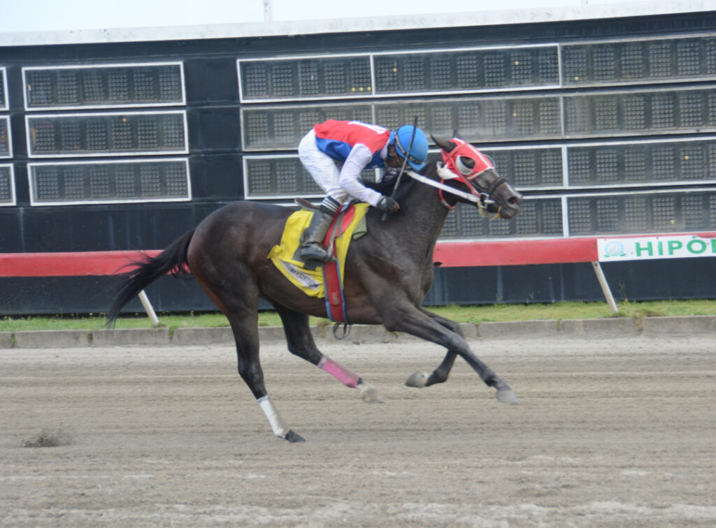 SR. JUAN LARA (4)