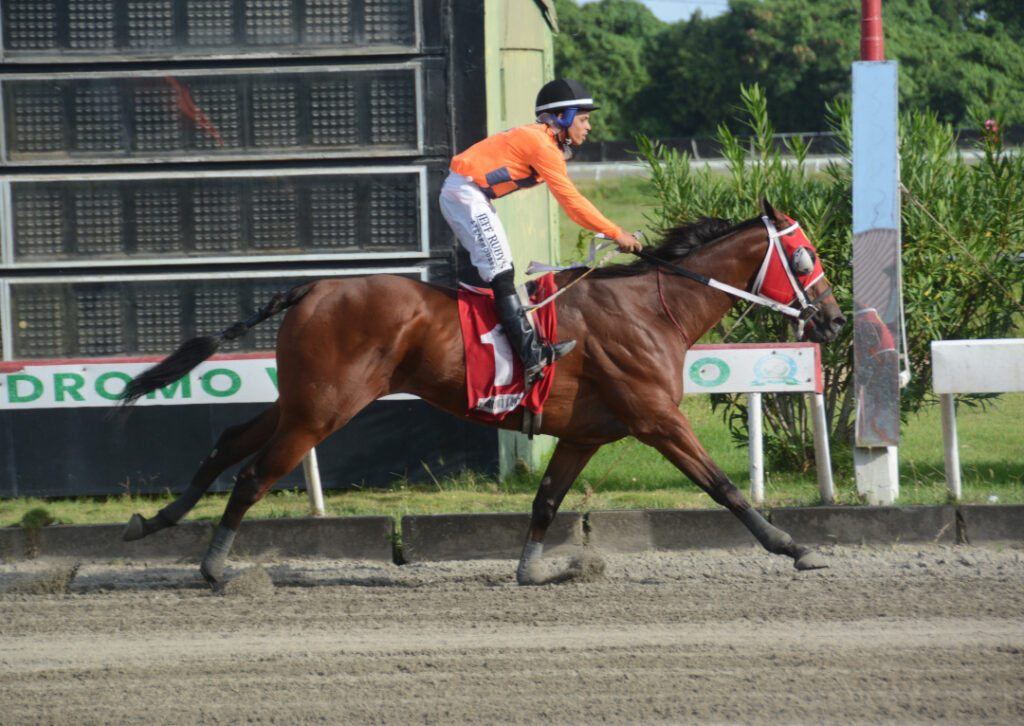MAJESTIC CORREDOR (1)