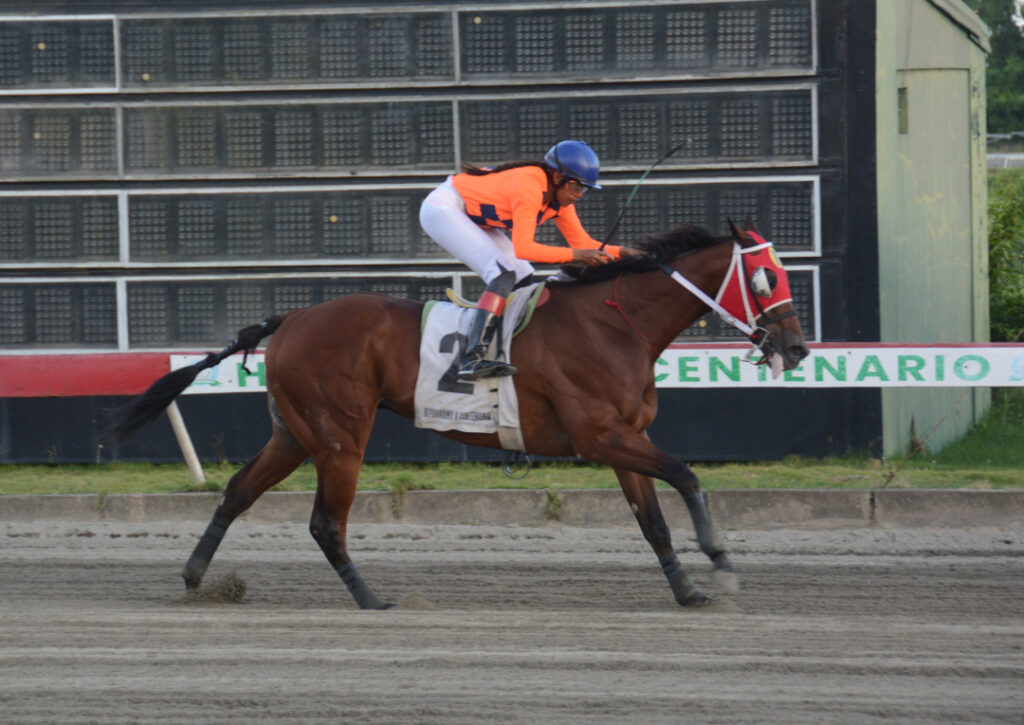 MAJESTIC CORREDOR (2)