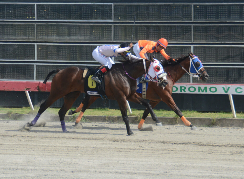 MAJESTIC CORREDOR (3)