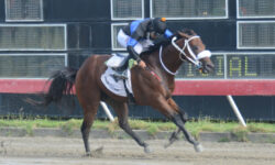 MR. JIMENEZ (2)