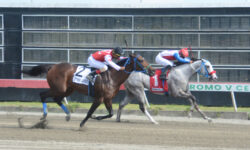 TRACK LORD (1)