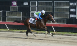 ING. COLLADO (2)