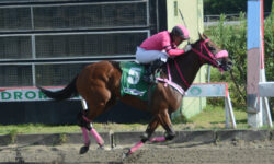 PRINCESA AINHOA (5)
