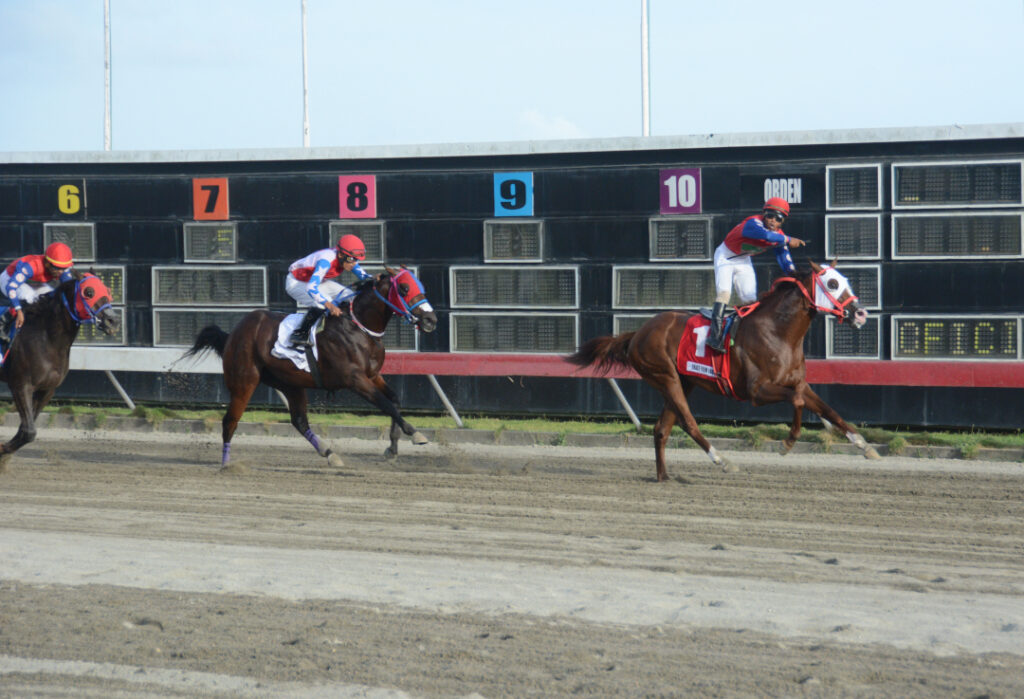 GRACE FROM ABOVE (1)