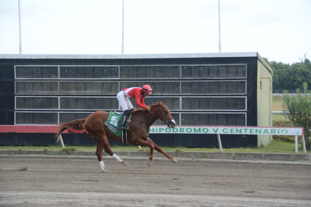 RULAY (5)